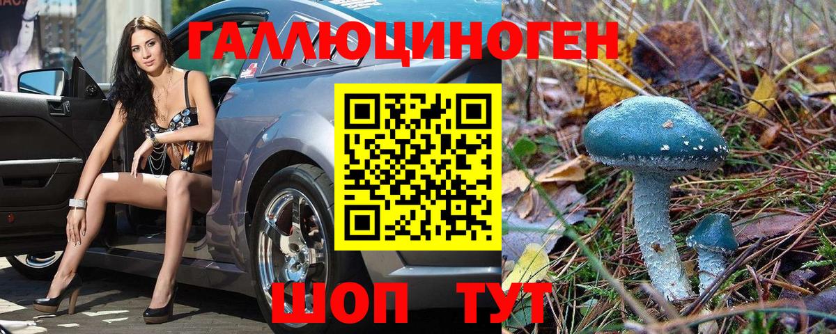 Оренбург  Псилоцибиновые грибы Psilocybe  где купить наркоту  Вход с VPN 