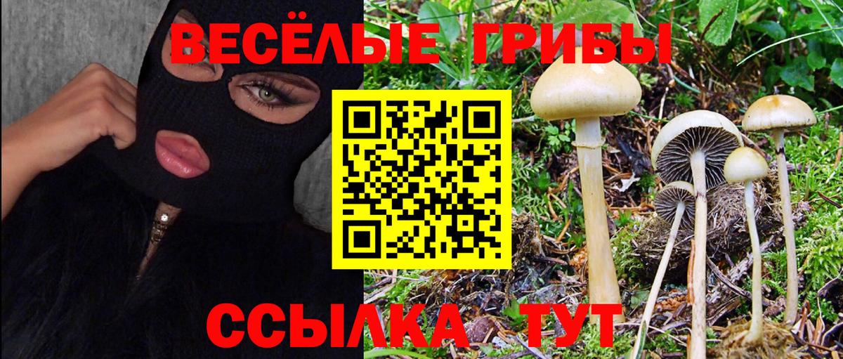 Псилоцибиновые грибы GOLDEN TEACHER Оренбург